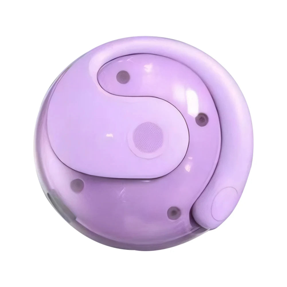 Wireless Language Translation Earphones